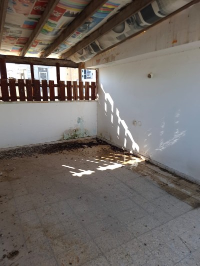 מציאה! קוטג' טורי  6.5 חדרים + יחידת סטודיו ברמת אפריים