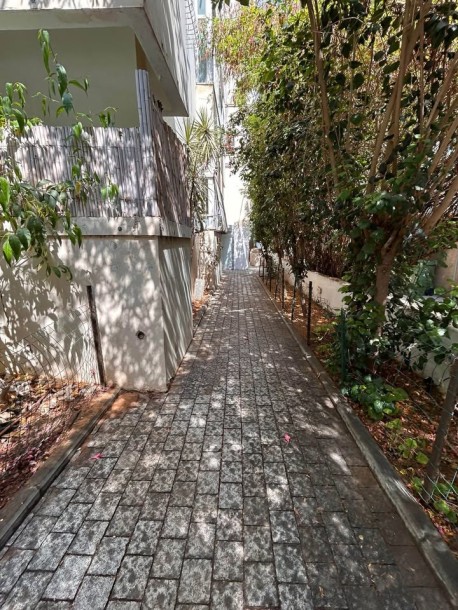 ברחוב רופין-2