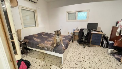 דירת 3 חדרים 80 מ"ר באנטוקולסקי | קרקע | ת"א