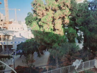 להשכרה יח דיור