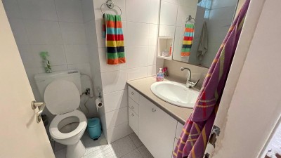 להשכרה !! פרופסור שור