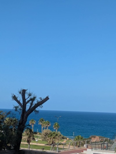 קוטג' 8 חדרים 250 מ"ר בנת 600 | קו שני לים | נתניה