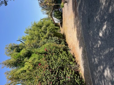 בהזדמנות מגרש