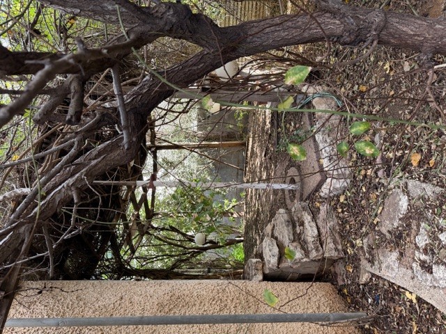 קוטג במציאה-2