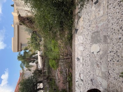 למכירה בית פרטי/קוטג 5 חד בצבי חיות נתניה