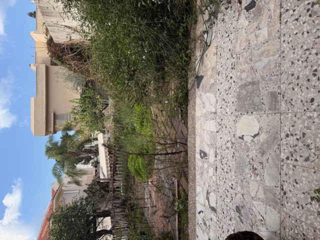 קוטג במציאה-3