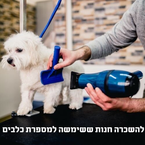 שתי חנויות + גלריה 86 מ"ר | גבעת האירוסים | נתניה