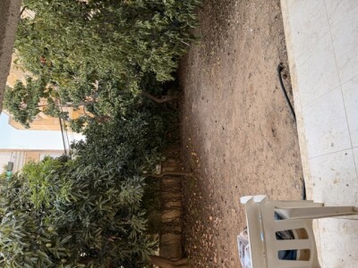 להשכרה בית פרטי/קוטג 6 חד ביהושע בן נון נתניה